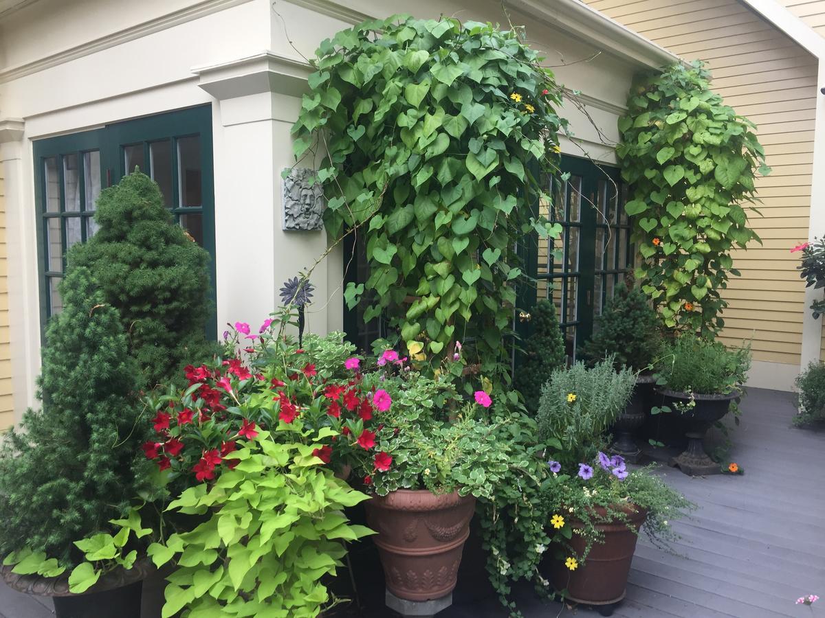 Mary Prentiss Inn Cambridge Luaran gambar